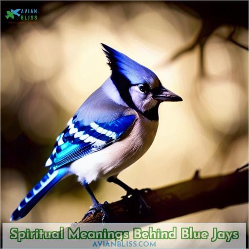 Spiritual Meanings Behind Blue Jays
