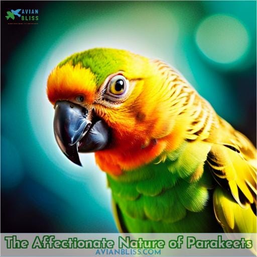 The Affectionate Nature of Parakeets