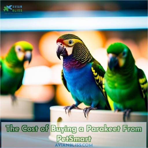 The Cost of Buying a Parakeet From PetSmart