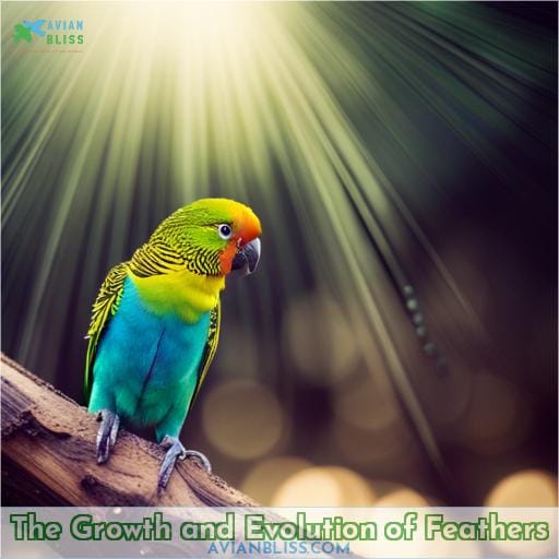 The Growth and Evolution of Feathers