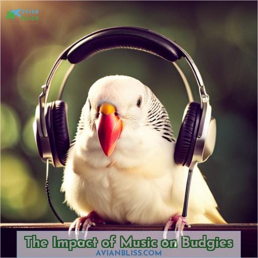 The Impact of Music on Budgies