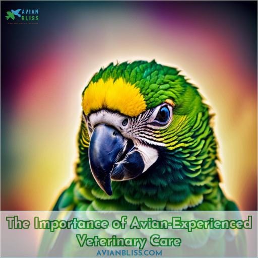 The Importance of Avian-Experienced Veterinary Care