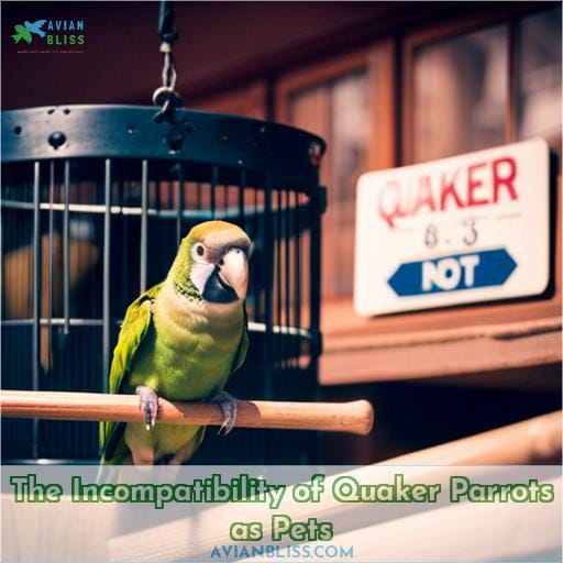 The Incompatibility of Quaker Parrots as Pets