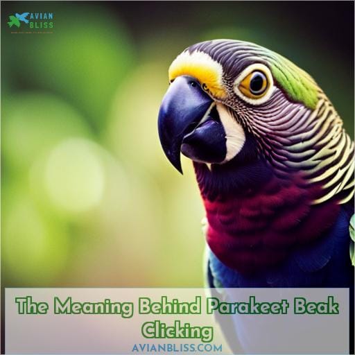 The Meaning Behind Parakeet Beak Clicking