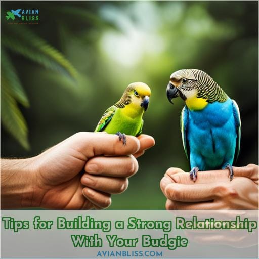 Tips for Building a Strong Relationship With Your Budgie