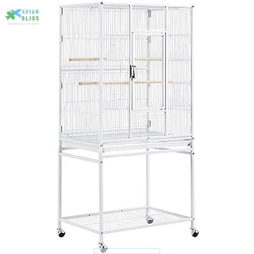 Best Bird Cages for Happy Parakeets Bar Spacing, Construction, and