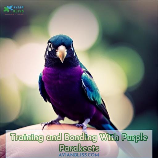 Training and Bonding With Purple Parakeets