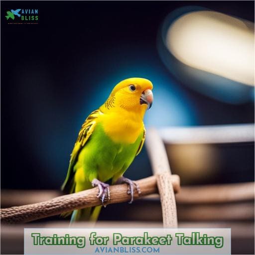 Training for Parakeet Talking