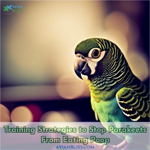 Training Strategies to Stop Parakeets From Eating Poop