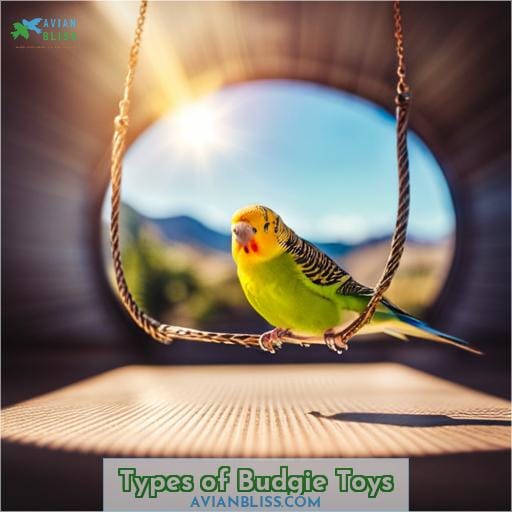 Types of Budgie Toys