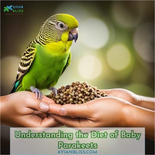 Understanding the Diet of Baby Parakeets