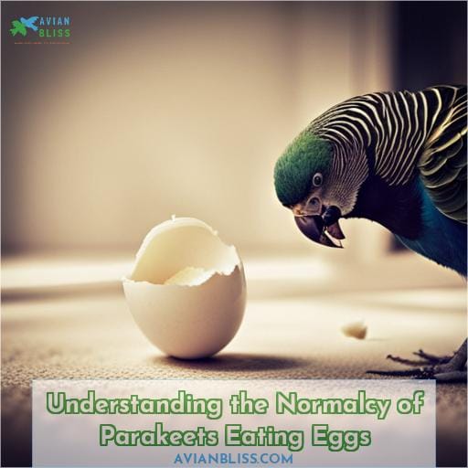 Understanding the Normalcy of Parakeets Eating Eggs