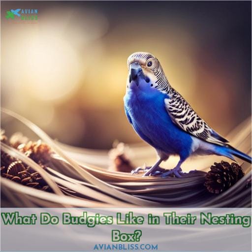 What Do Budgies Like in Their Nesting Box