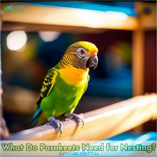 What Do Parakeets Need for Nesting