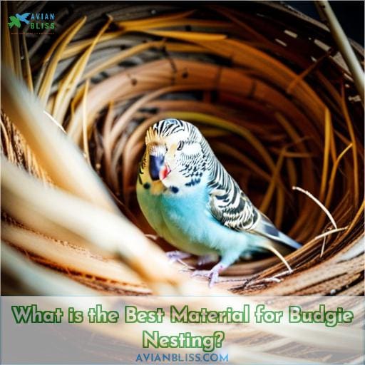 What is the Best Material for Budgie Nesting