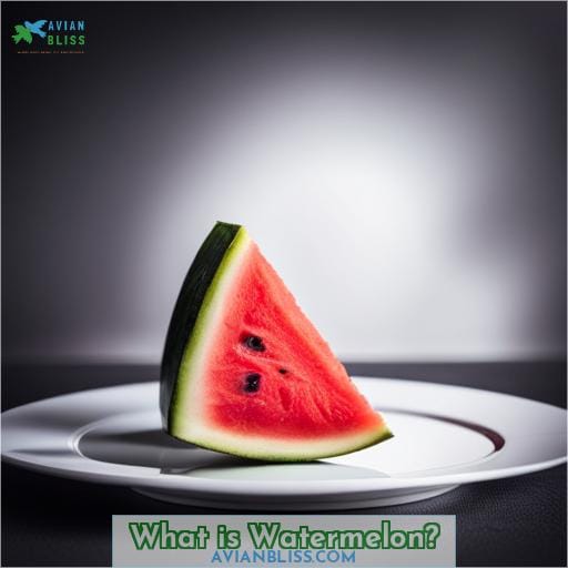What is Watermelon