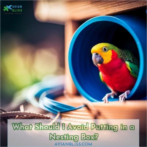 What Should I Avoid Putting in a Nesting Box