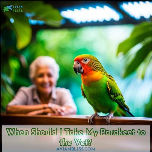 When Should I Take My Parakeet to the Vet