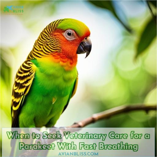 When to Seek Veterinary Care for a Parakeet With Fast Breathing