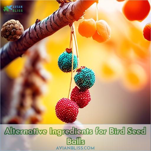 Alternative Ingredients for Bird Seed Balls