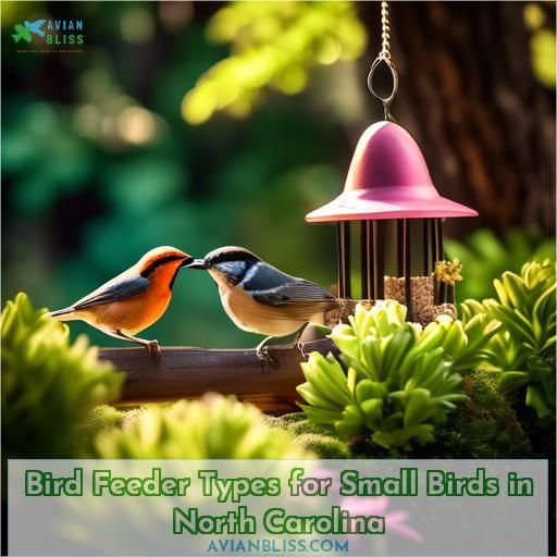 Bird Feeder Types for Small Birds in North Carolina