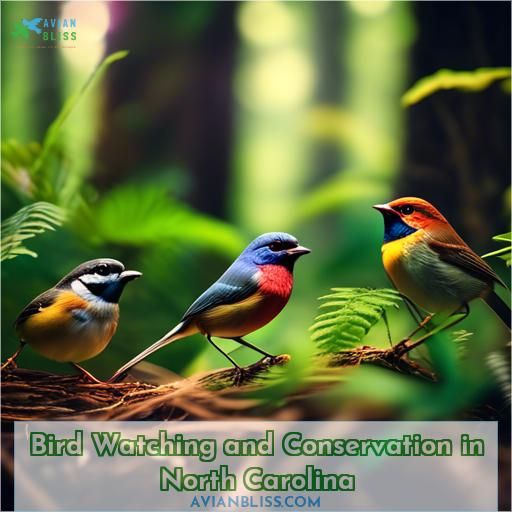Bird Watching and Conservation in North Carolina
