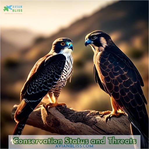 Conservation Status and Threats
