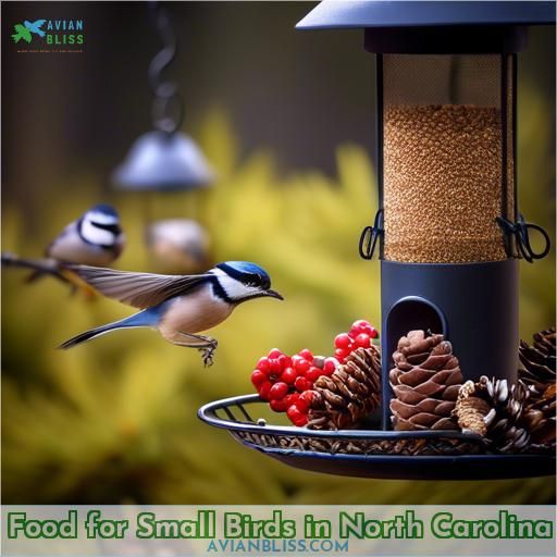 Food for Small Birds in North Carolina