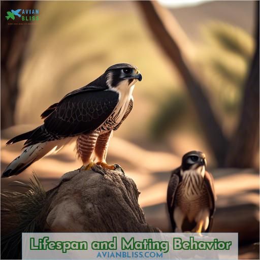 Lifespan and Mating Behavior