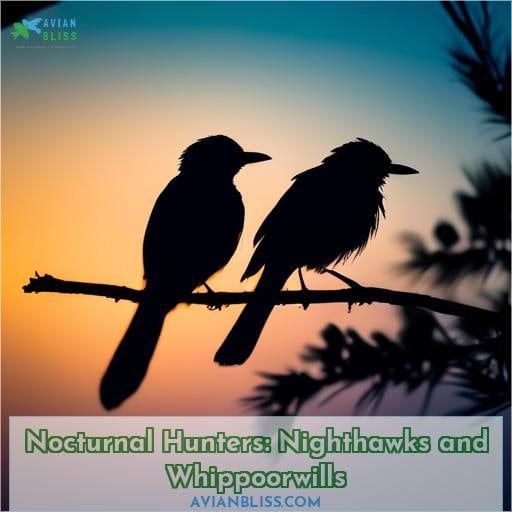 Nocturnal Hunters: Nighthawks and Whippoorwills
