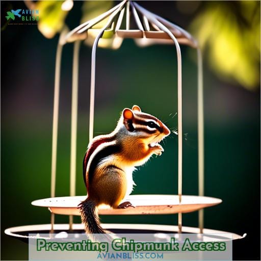Preventing Chipmunk Access