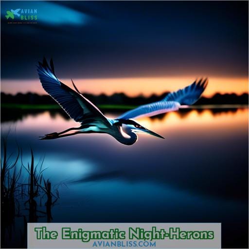 The Enigmatic Night-Herons