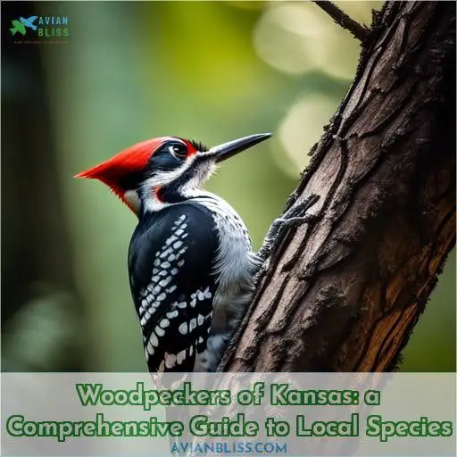 woodpeckers of kansas