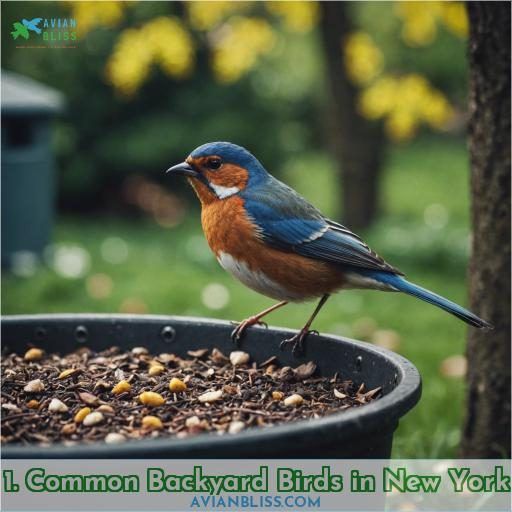 1. Common Backyard Birds in New York