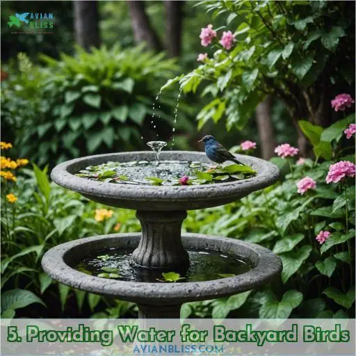 5. Providing Water for Backyard Birds