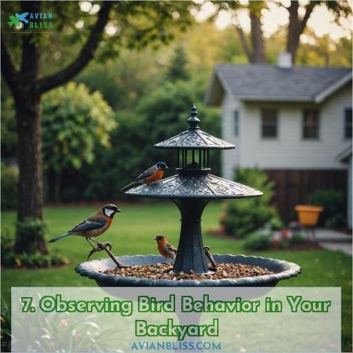 7. Observing Bird Behavior in Your Backyard