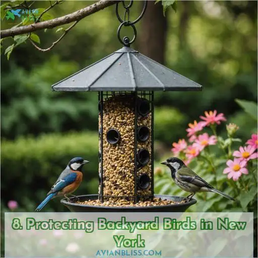 8. Protecting Backyard Birds in New York