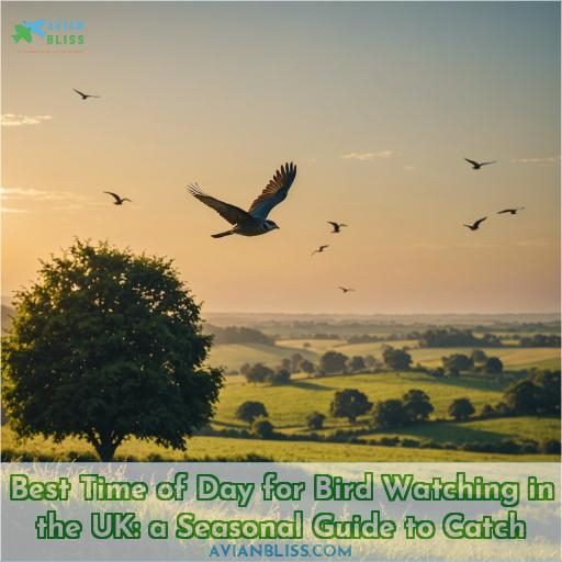 best time of day for bird watching in the uk
