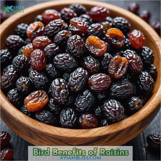 Bird Benefits of Raisins