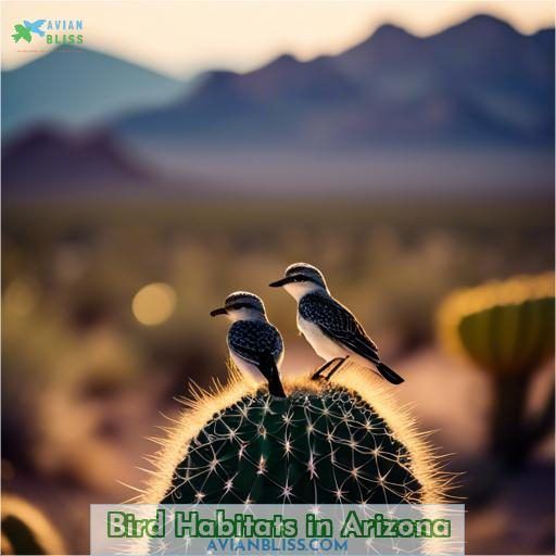 Bird Habitats in Arizona
