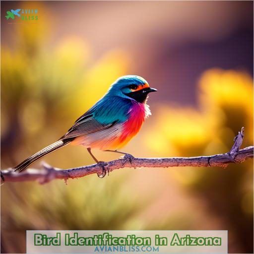 Bird Identification in Arizona