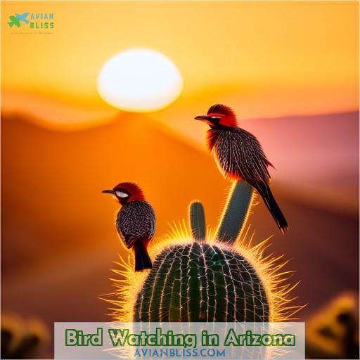Bird Watching in Arizona