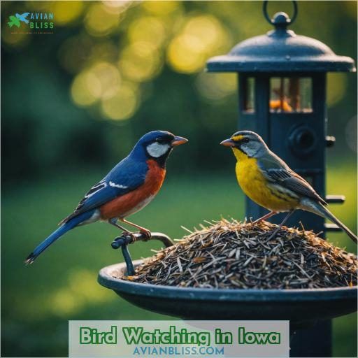 Bird Watching in Iowa