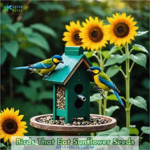 Birds That Eat Sunflower Seeds