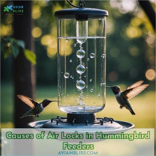 Causes of Air Locks in Hummingbird Feeders