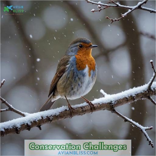 Conservation Challenges