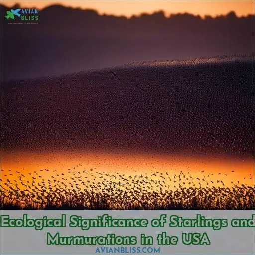 Ecological Significance of Starlings and Murmurations in the USA