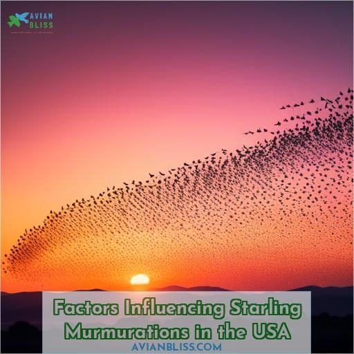 Factors Influencing Starling Murmurations in the USA