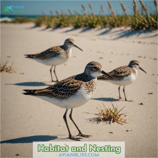 Habitat and Nesting