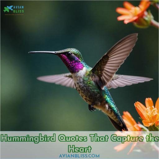 Hummingbird Quotes That Capture the Heart